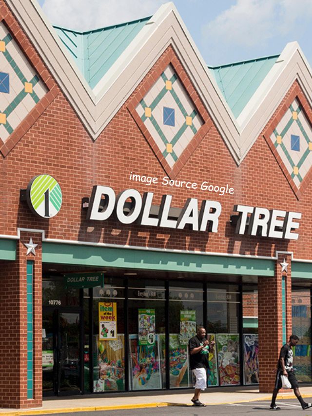 9 Cheap Seasonal Items at Dollar Tree Only Available in the Winter -  StatAnalytica